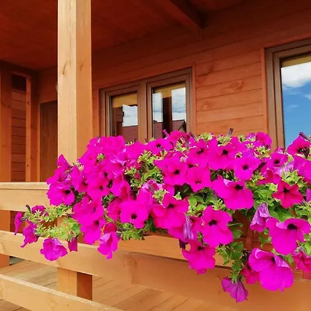 Letniskowe Dominika Dom wakacyjny