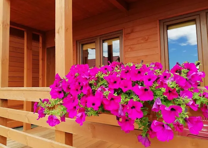 Letniskowe Dominika Prázdninový dům